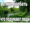 Memes 14