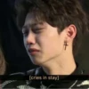 stray kids 15