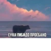 Memes 16