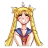 SailorMoon 16