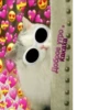 Cute Cats @anime4_arts 16