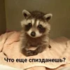 лYчшие пикчи —-> 10