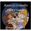KOSTA MEOW 12