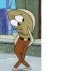 Memes 18