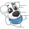 Dog 16