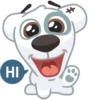 Dog 17