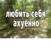Memes 19