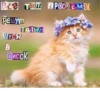IfWxLtX_by_achestickbot 22