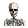 Skeleton Bob / By OsmerOmar 23