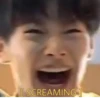 stray kids 22