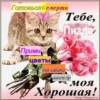 IfWxLtX_by_achestickbot 25