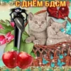 IfWxLtX_by_achestickbot 26