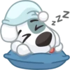 Dog 23