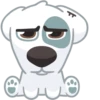 Dog 24