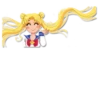SailorMoon 18
