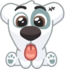 Dog 27