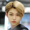 stray kids 29