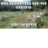 Memes 28
