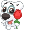 Dog 30
