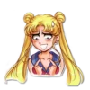 SailorMoon 19