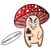 happy mushrooms 5