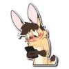 A Bunny Named Sunny 8