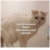 Kiss 5