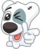 Dog 5