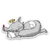Kid Cat 6