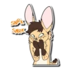 SNRK SNRK