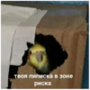 Kiss 10