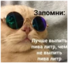 Kiss 11