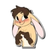 A Bunny Named Sunny 13