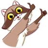 Bandit Raccoon 5