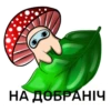 happy mushrooms 7