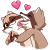 Bandit Raccoon 6