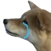 memes de cachorros 8