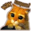tv-box.pp.ua 11