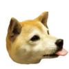 memes de cachorros 12
