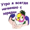 Утро я всегда начинаю с зарядки им