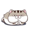 Fat Cat Ami @StickersCloud 12