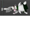 Project:greenfun meme 9