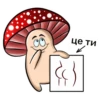 happy mushrooms 9