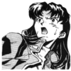 NGE manga 14