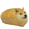 memes de cachorros 16