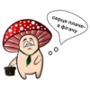 happy mushrooms 11