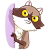 Bandit Raccoon 11