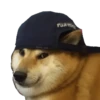 memes de cachorros 17