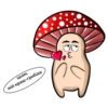 happy mushrooms 12