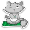 Kid Cat 14